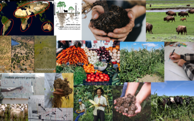 Regenerative Agriculture and Holistic Management – Part 1